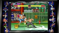 9. Street Fighter: 30th Anniversary Collection Launch (PC) (klucz STEAM)